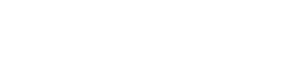 Nostavia Logo